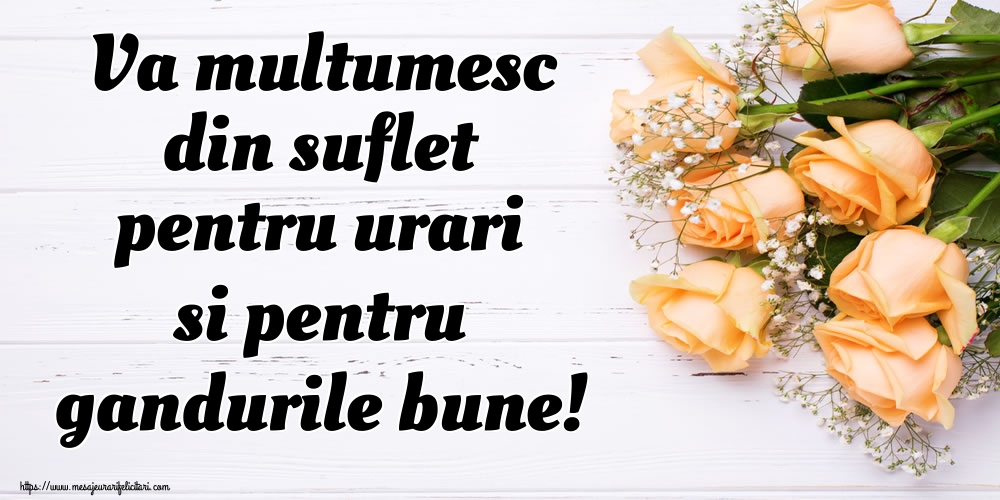 Felicitari de multumire - Va multumesc din suflet pentru urari si pentru gandurile bune! - mesajeurarifelicitari.com