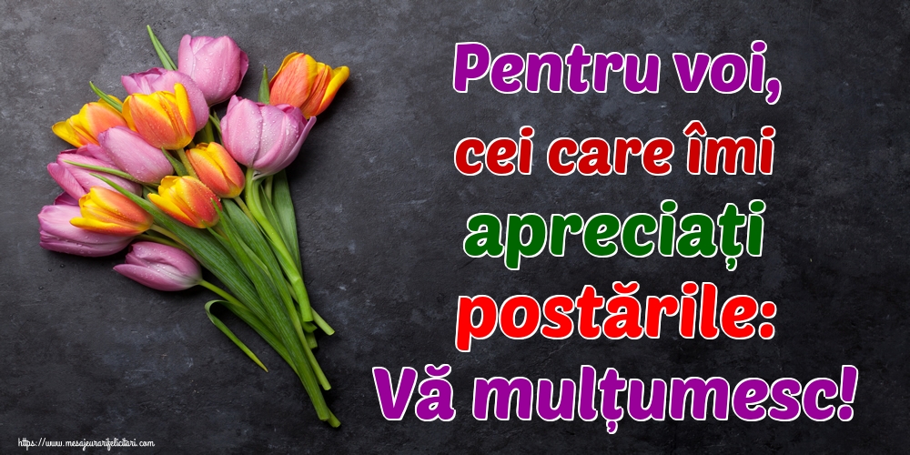 Pentru voi, cei care îmi apreciați postările: Vă mulțumesc!