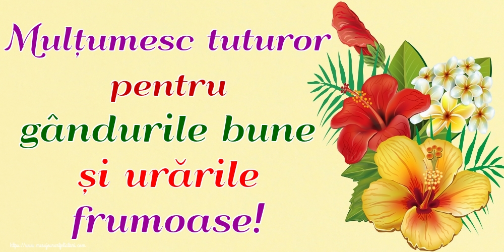 Felicitari de multumire - Mulțumesc tuturor pentru gândurile bune și urările frumoase! - mesajeurarifelicitari.com