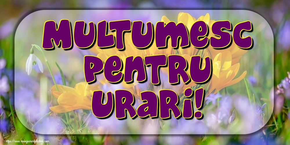 Multumesc pentru urari!