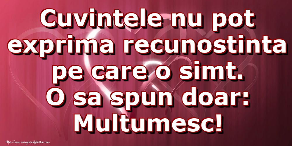 Cuvintele nu pot exprima recunostinta pe care o simt. O sa spun doar: Multumesc!