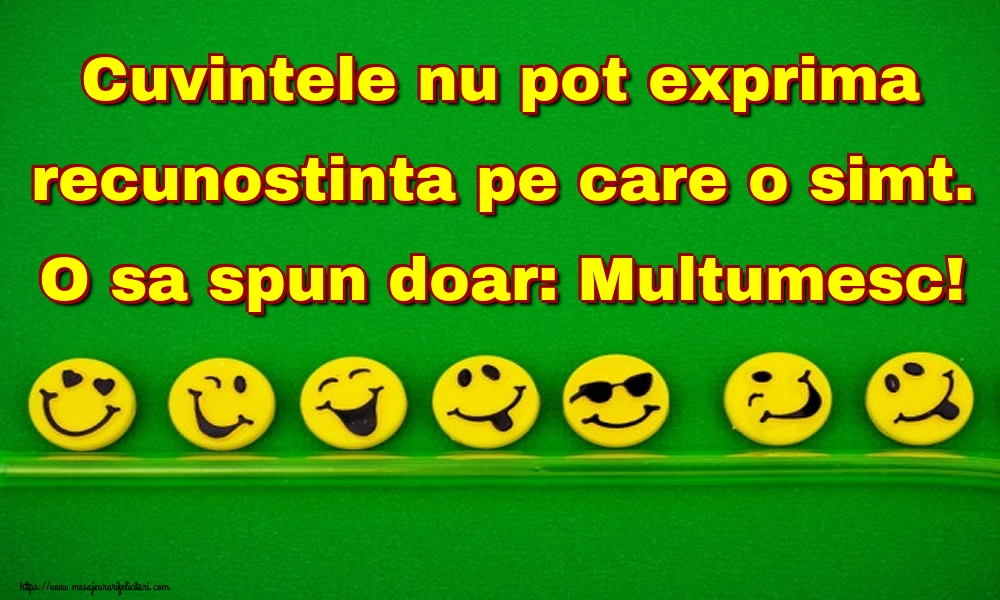 Cuvintele nu pot exprima recunostinta pe care o simt. O sa spun doar: Multumesc!