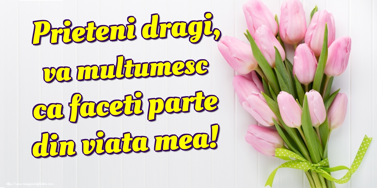 Prieteni dragi, va multumesc ca faceti parte din viata mea!