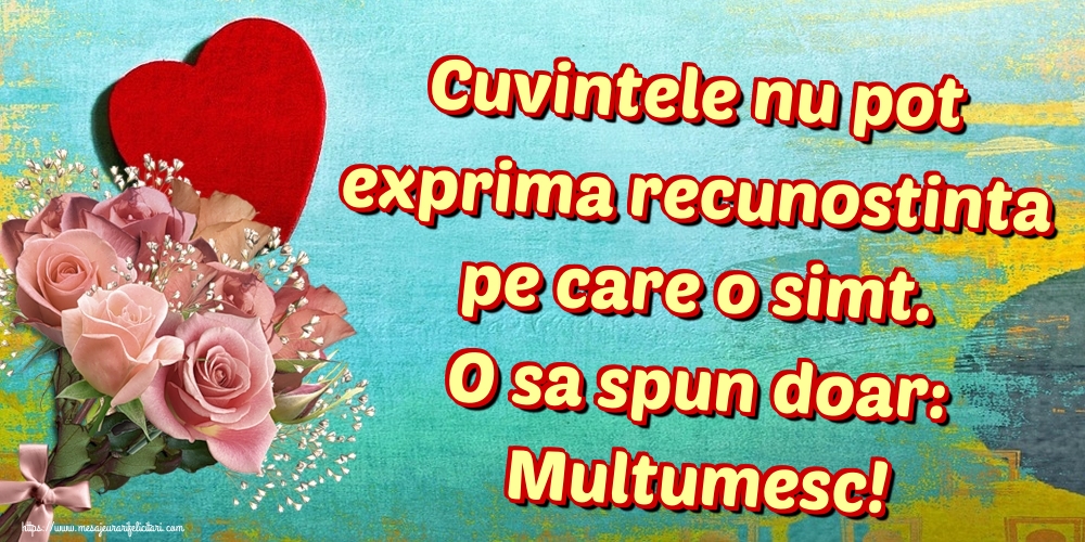 Cuvintele nu pot exprima recunostinta pe care o simt. O sa spun doar: Multumesc!