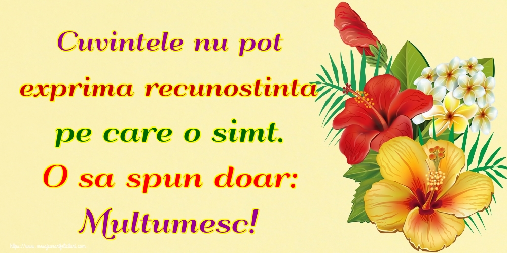 Cuvintele nu pot exprima recunostinta pe care o simt. O sa spun doar: Multumesc!