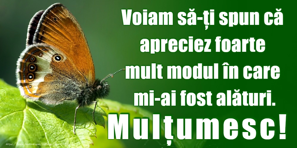Mulțumesc!