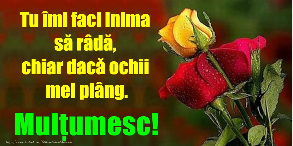 Mulțumesc!