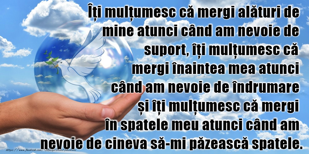 Mulțumesc!