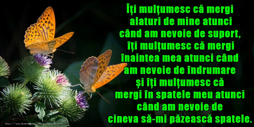 Mulțumesc!