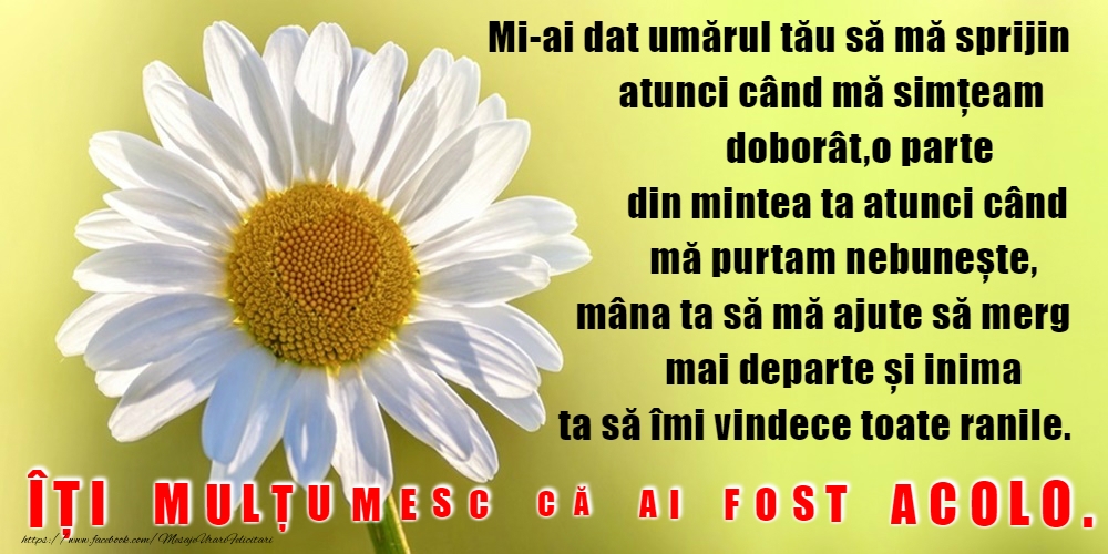 Mulțumesc!
