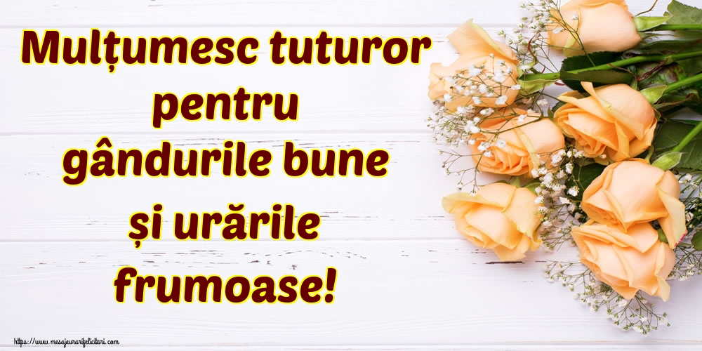 Mulțumesc tuturor pentru gândurile bune și urările frumoase!
