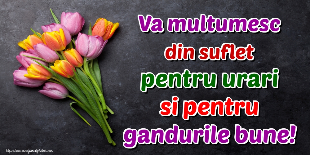 Va multumesc din suflet pentru urari si pentru gandurile bune!