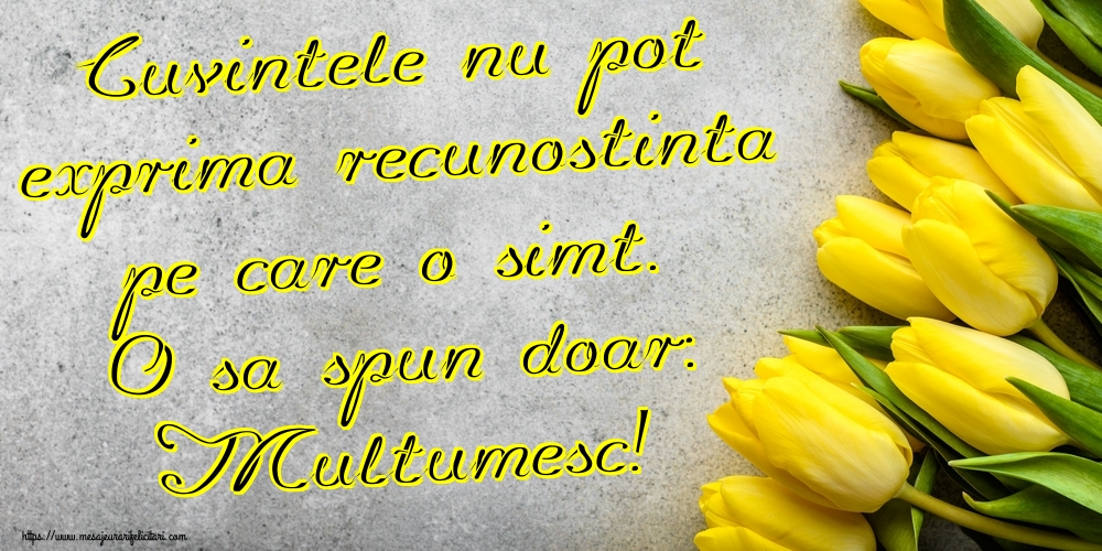 Cuvintele nu pot exprima recunostinta pe care o simt. O sa spun doar: Multumesc!