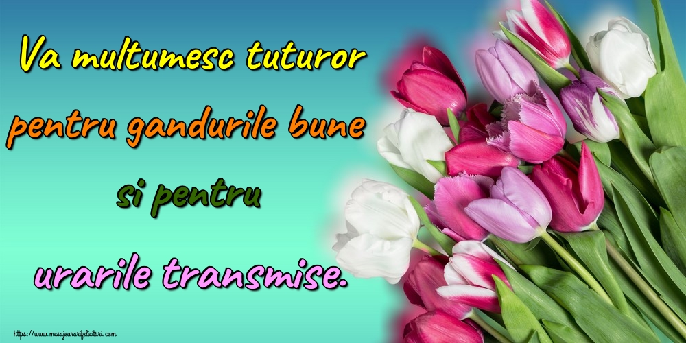 Va multumesc tuturor pentru gandurile bune si pentru urarile transmise.