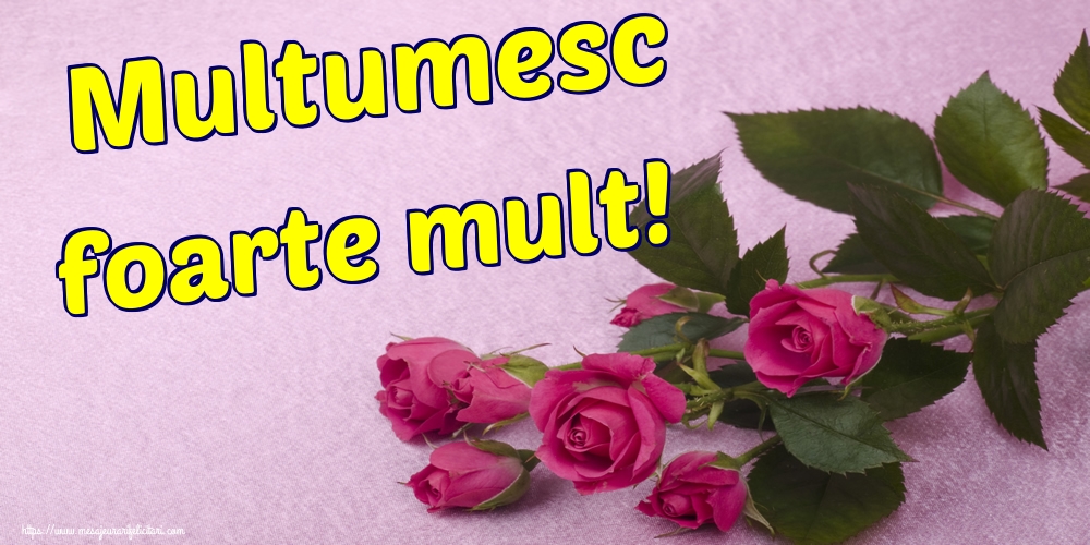 Multumesc foarte mult!