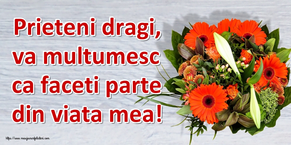 Prieteni dragi, va multumesc ca faceti parte din viata mea!