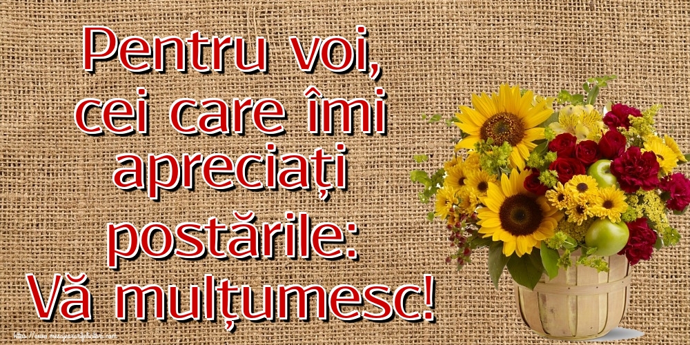 Pentru voi, cei care îmi apreciați postările: Vă mulțumesc!