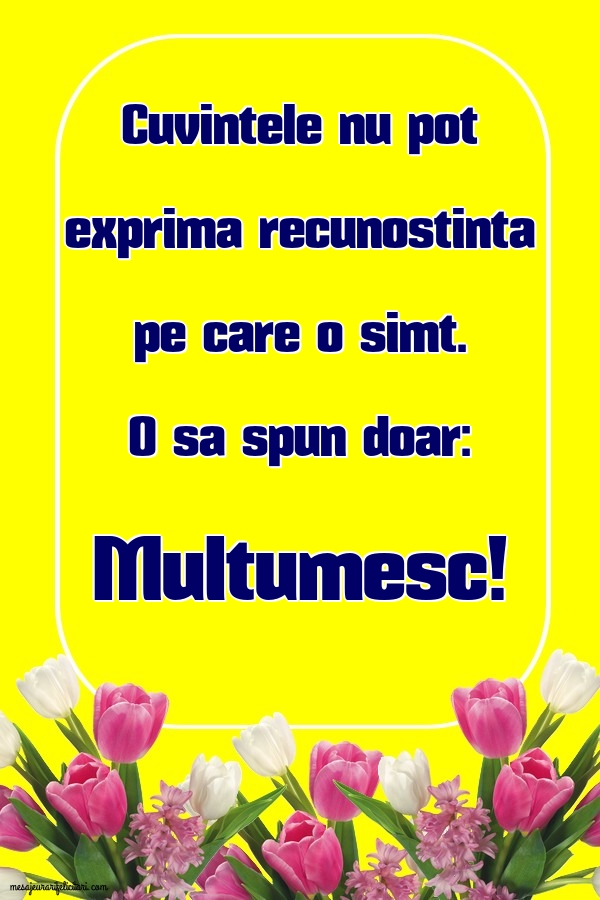 Multumesc!