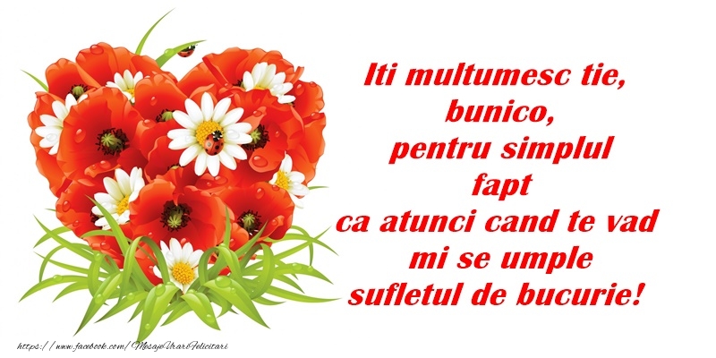 Iti multumesc tie, bunico, pentru simplu fapt ca atunci cand te vad mi se umple sufletul de bucurie!