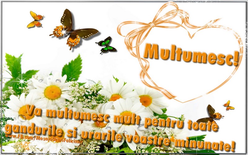 Felicitari de multumire - Va multumesc mult pentru toate  gandurile si urarile voastre minunate! - mesajeurarifelicitari.com