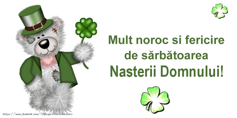 Mult noroc si fericire de sarbatoarea Nasterii Domnului!