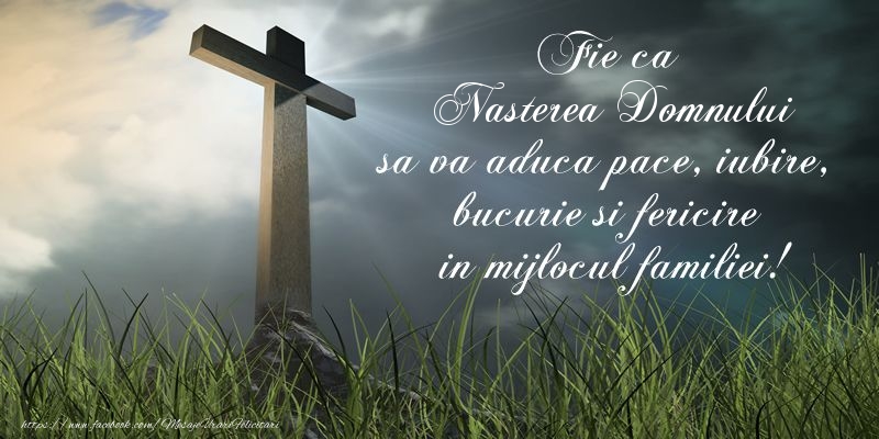 Fie ca Nasterea Domnului sa va aduca pace, iubire, bucurie si fericire in mijlocul familiei!