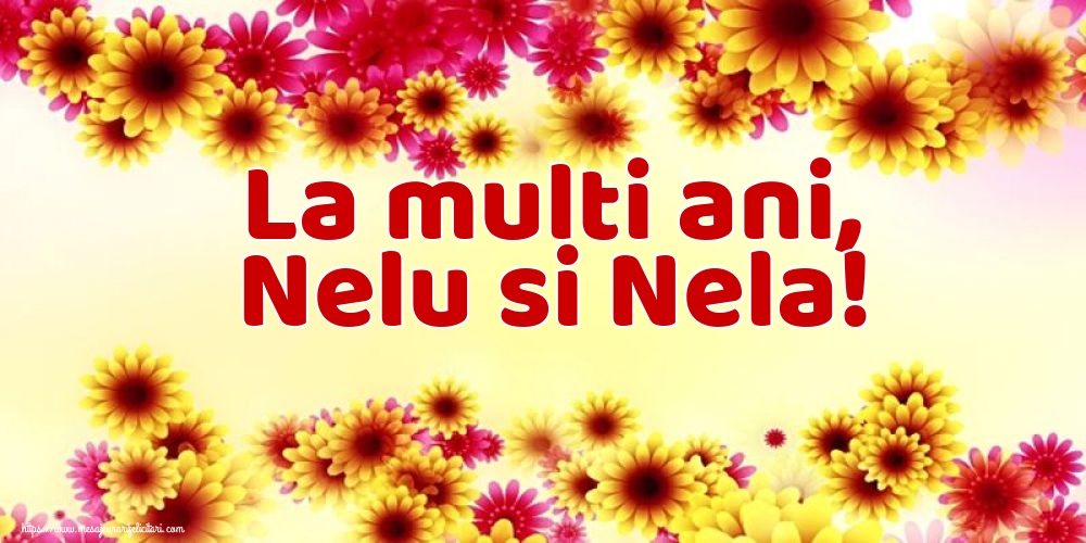 La multi ani, Nelu si Nela!