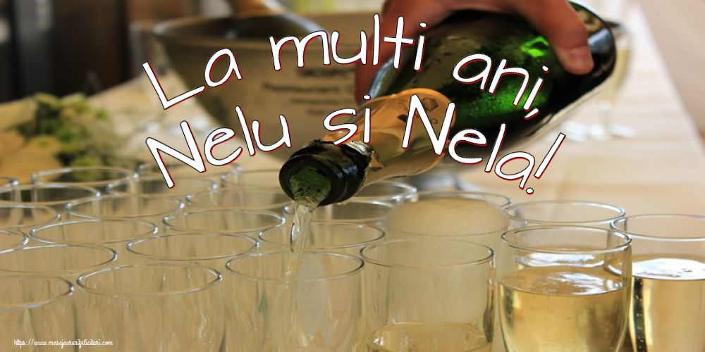 Nasterea Sfantului Ioan La multi ani, Nelu si Nela!