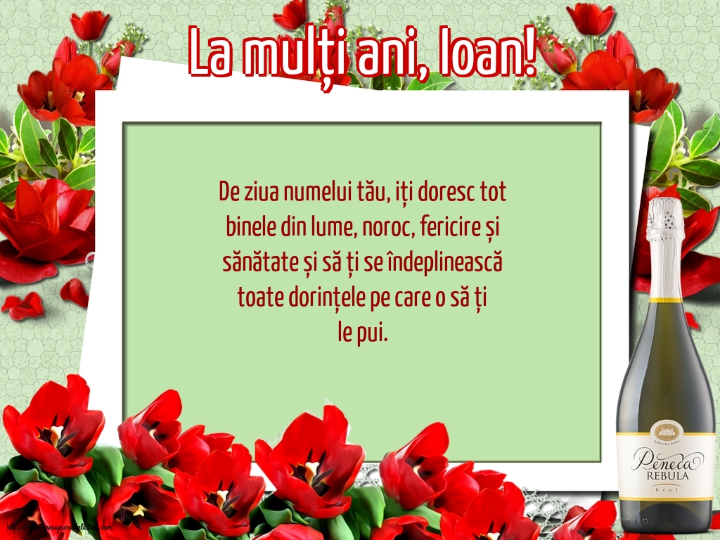 Nasterea Sfantului Ioan La mulți ani, Ioan!