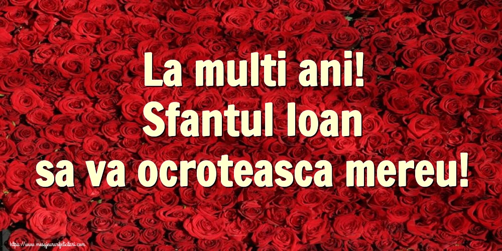 Nasterea Sfantului Ioan La multi ani! Sfantul Ioan sa va ocroteasca mereu!