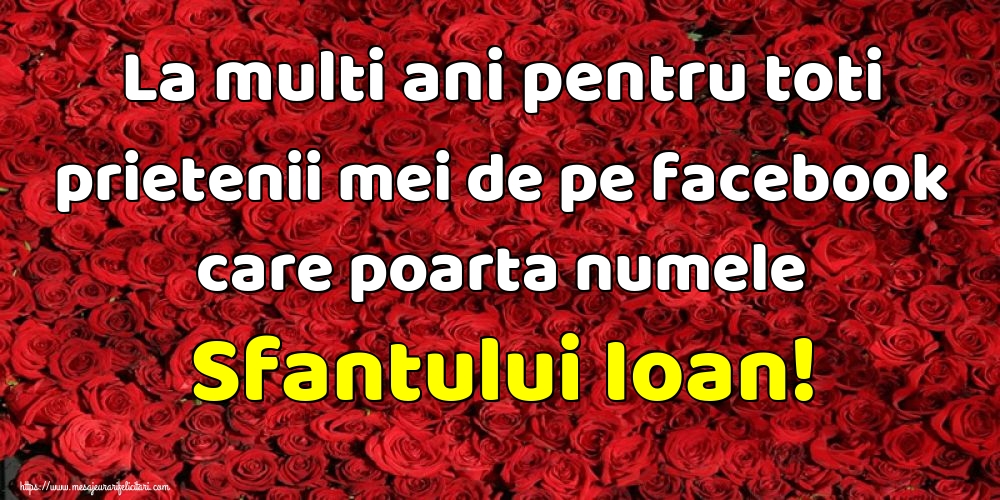 La multi ani pentru toti prietenii mei de pe facebook care poarta numele Sfantului Ioan!