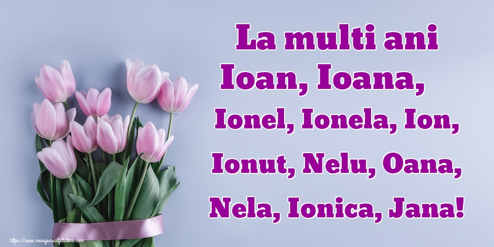 La multi ani Ioan, Ioana, Ionel, Ionela, Ion, Ionut, Nelu, Oana, Nela, Ionica, Jana!
