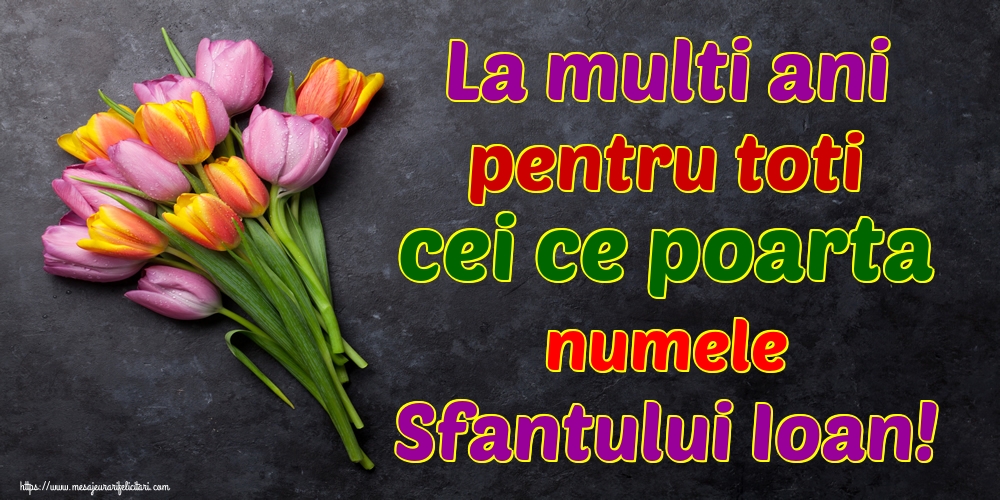 La multi ani pentru toti cei ce poarta numele Sfantului Ioan!