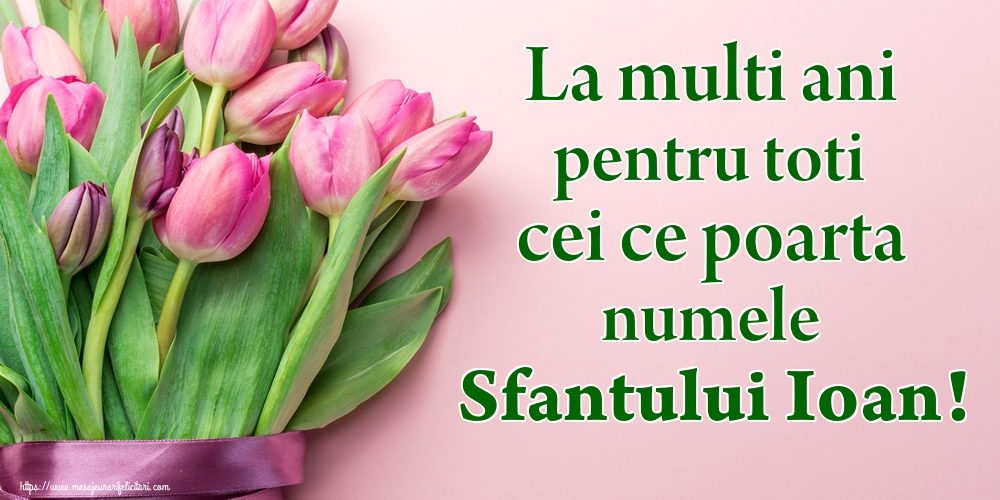 La multi ani pentru toti cei ce poarta numele Sfantului Ioan!