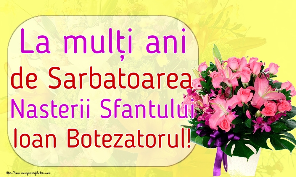 La mulți ani de Sarbatoarea Nasterii Sfantului Ioan Botezatorul!