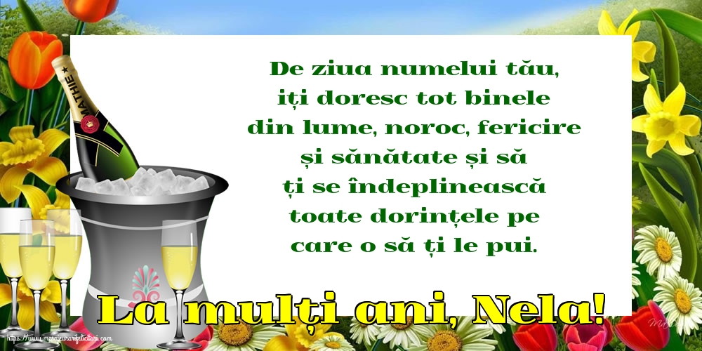 La mulți ani, Nela!