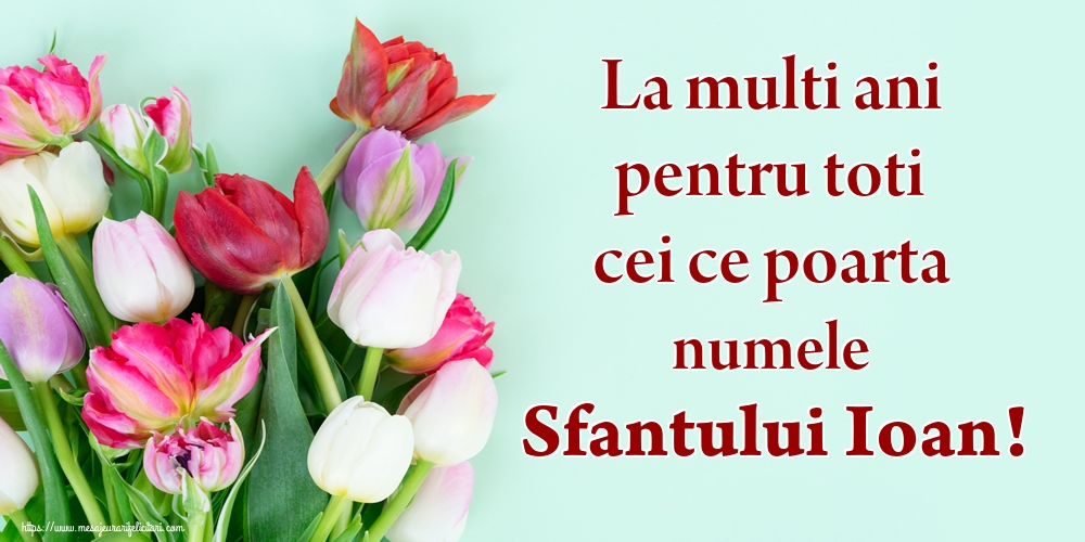 Felicitari de Nasterea Sfantului Ioan - La multi ani pentru toti cei ce poarta numele Sfantului Ioan! - mesajeurarifelicitari.com