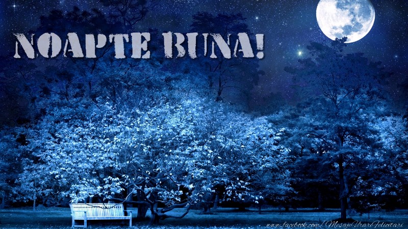 Felicitari de noapte buna - Noapte buna!