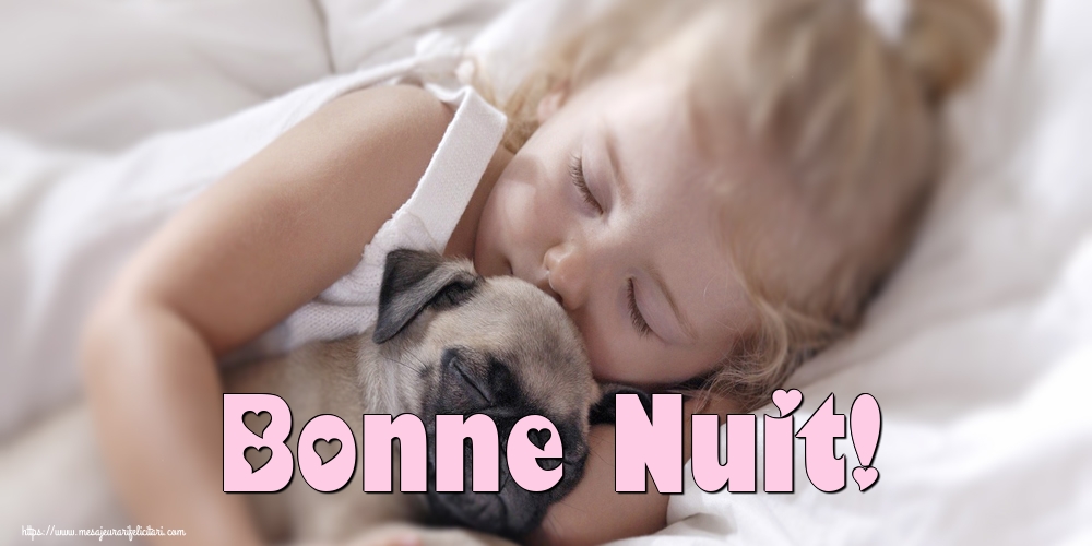 Felicitari de noapte buna in Franceza - Bonne Nuit!