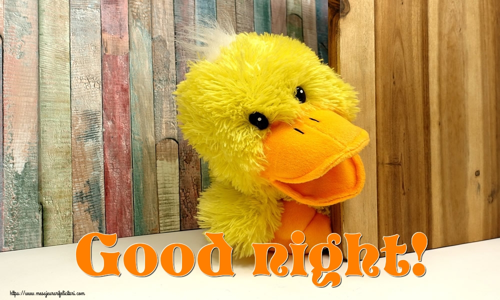 Felicitari de noapte buna in Engleza - Good night!