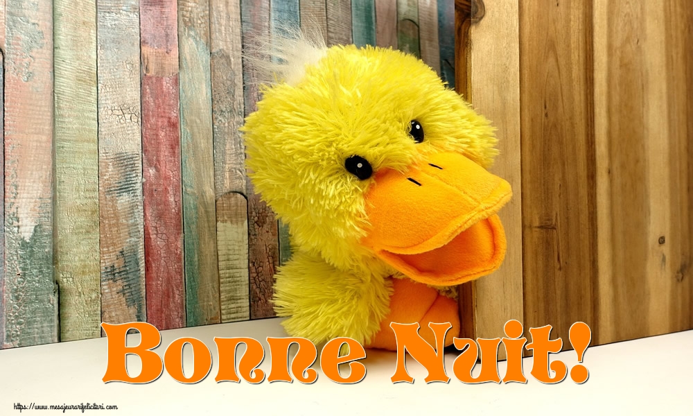 Felicitari de noapte buna in Franceza - Bonne Nuit!