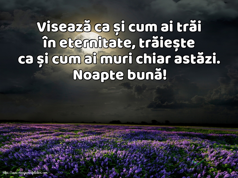 Noapte buna Noapte bună!