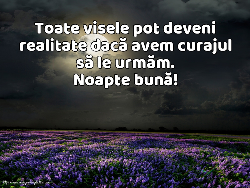 Noapte buna Noapte bună!
