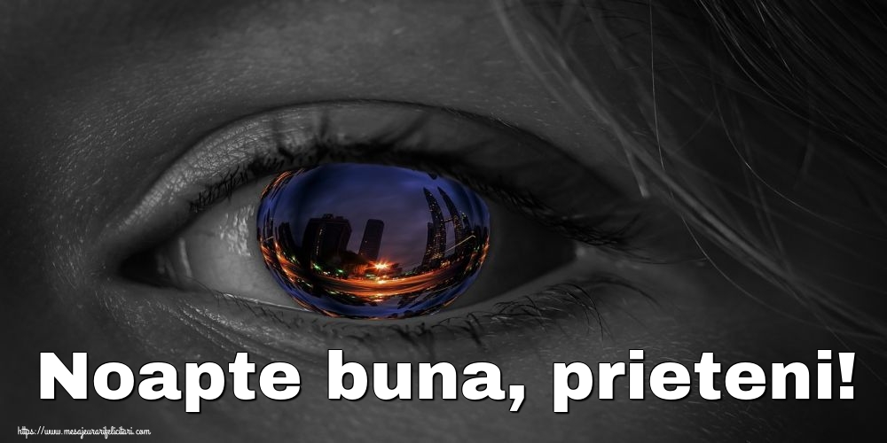 Felicitari de noapte buna - Noapte buna, prieteni! - mesajeurarifelicitari.com