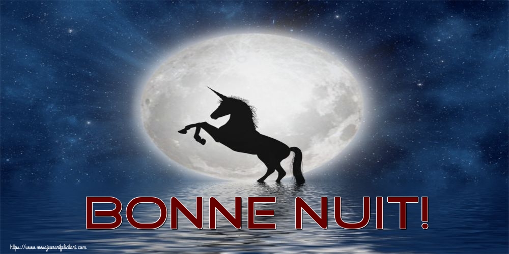 Felicitari de noapte buna in Franceza - Bonne Nuit!