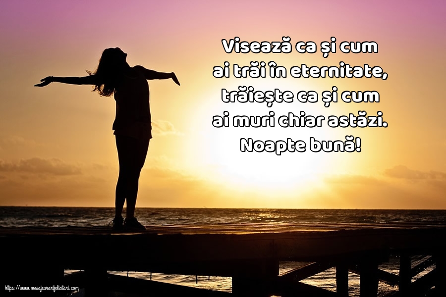 Noapte buna Noapte bună!