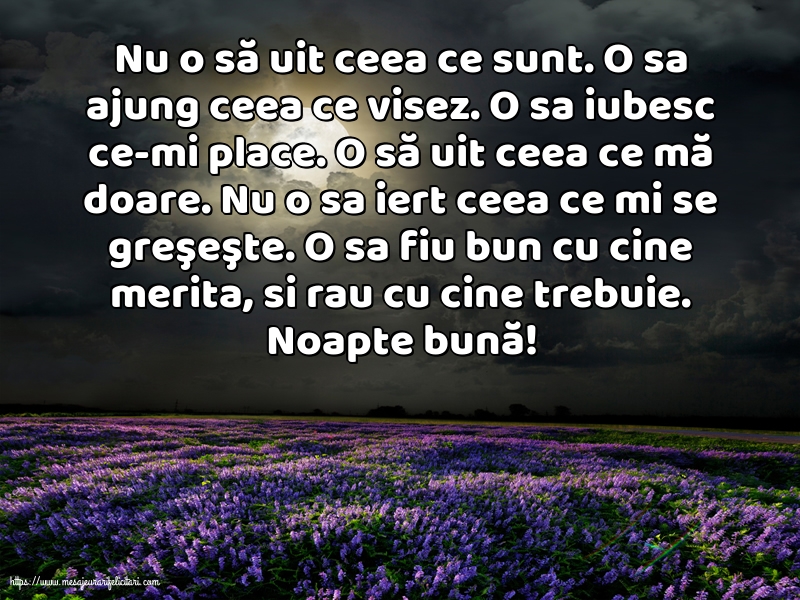 Noapte buna Noapte bună!