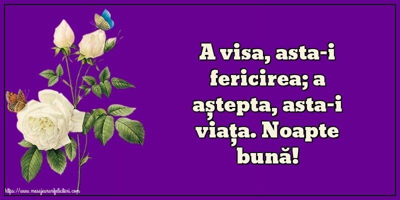 Noapte buna Noapte bună!