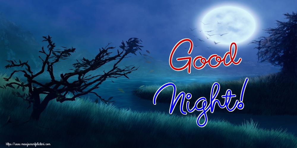 Felicitari de noapte buna in Engleza - Good Night!