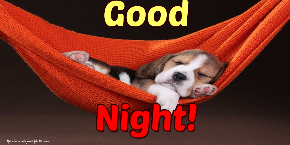 Felicitari de noapte buna in Engleza - Good Night!